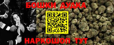 не бодяженный Камышлов