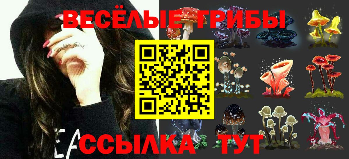 Псилоцибиновые грибы Psilocybe  Псилоцибиновые грибы Psilocybine cubensis  Вход с VPN  Шатура 